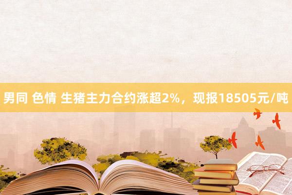 男同 色情 生猪主力合约涨超2%，现报18505元/吨