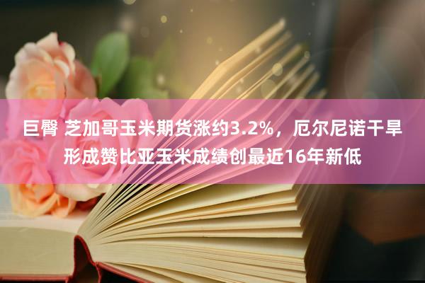 巨臀 芝加哥玉米期货涨约3.2%，厄尔尼诺干旱形成赞比亚玉米成绩创最近16年新低