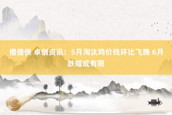 撸撸侠 卓创资讯：5月淘汰鸡价钱环比飞腾 6月跌幅或有限