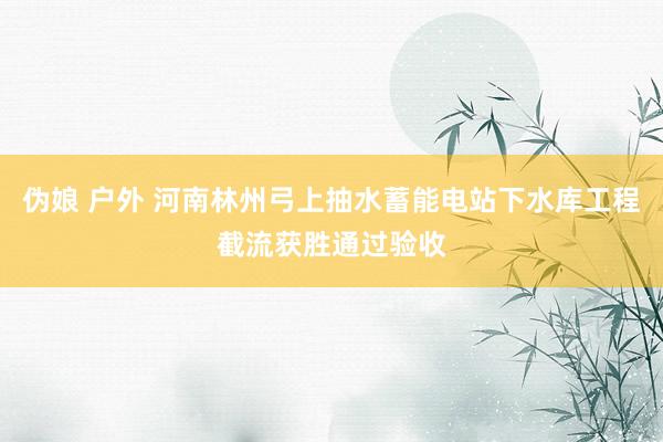 伪娘 户外 河南林州弓上抽水蓄能电站下水库工程截流获胜通过验收
