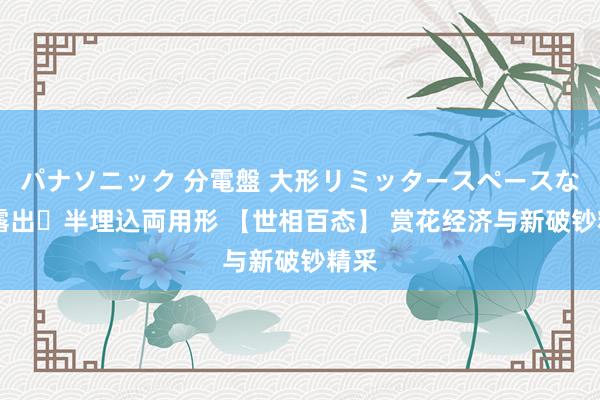 パナソニック 分電盤 大形リミッタースペースなし 露出・半埋込両用形 【世相百态】 赏花经济与新破钞精采
